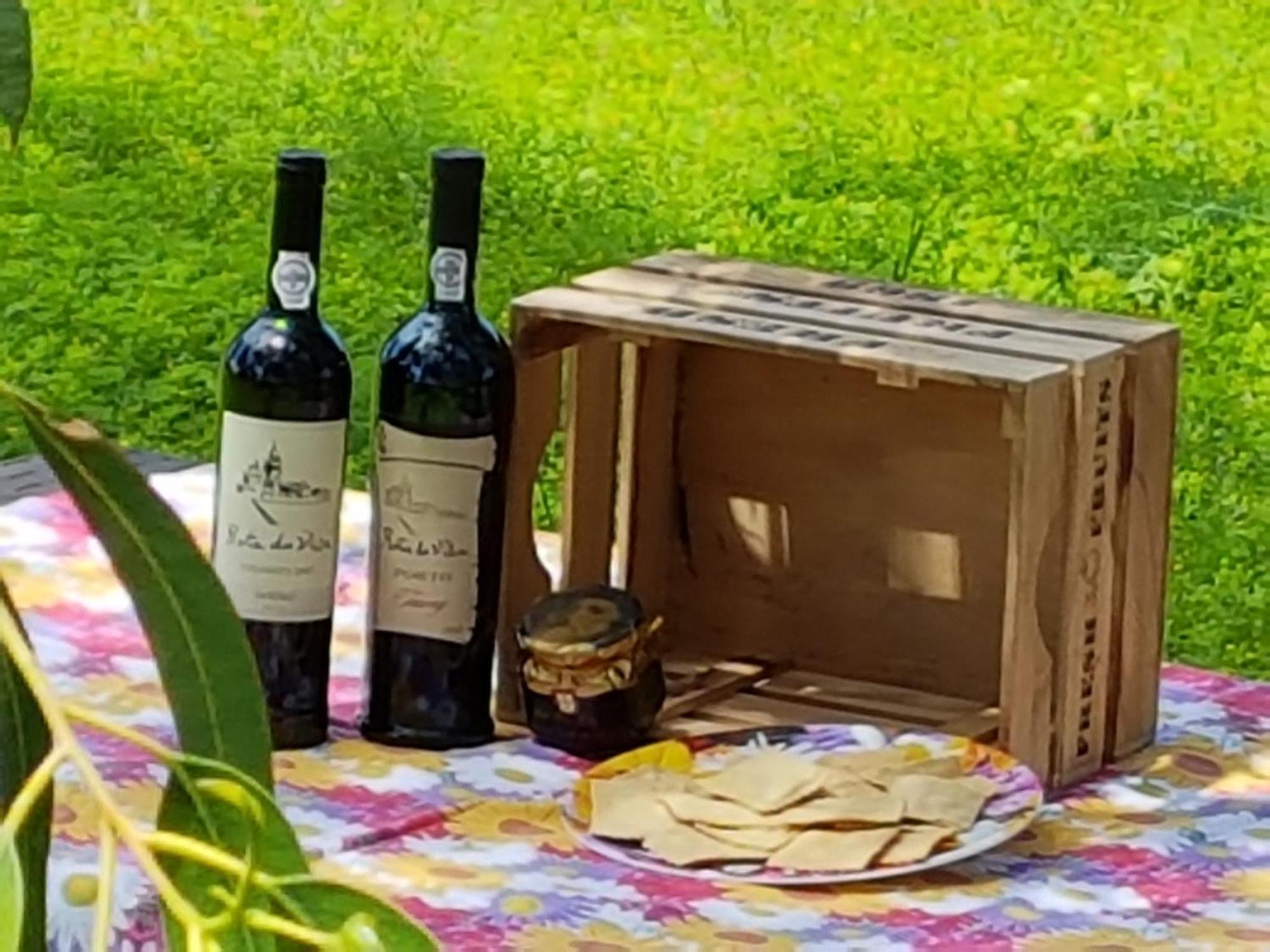 Foz do Sousa Glamping Frog Farmヴィラ エクステリア 写真