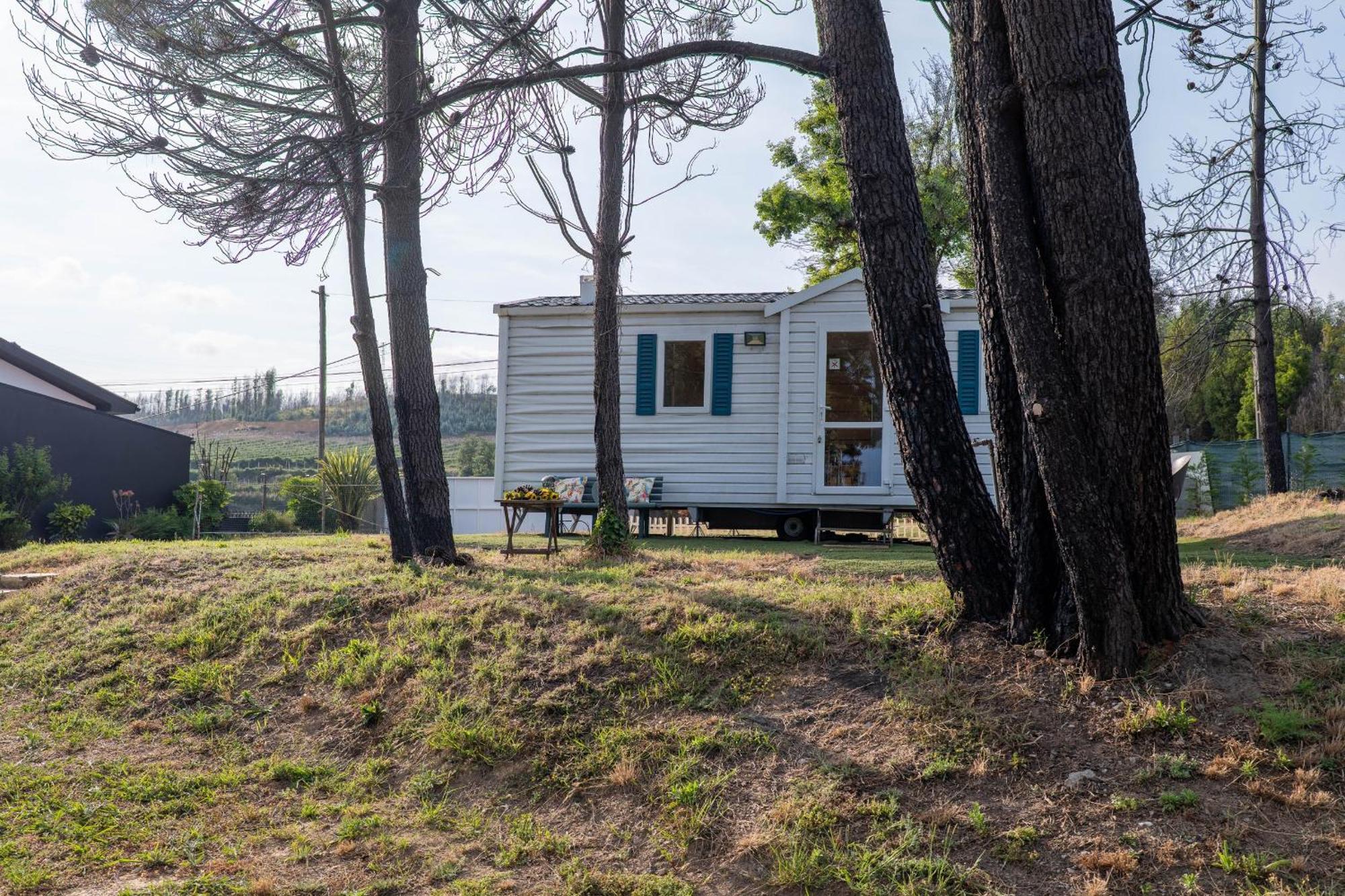Foz do Sousa Glamping Frog Farmヴィラ エクステリア 写真
